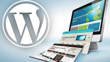 wordress-website-design-agency